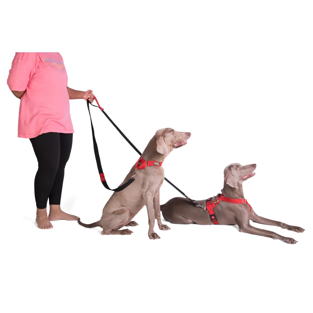 Let's Wag Multi Purpose Leash for Dogs (Black)