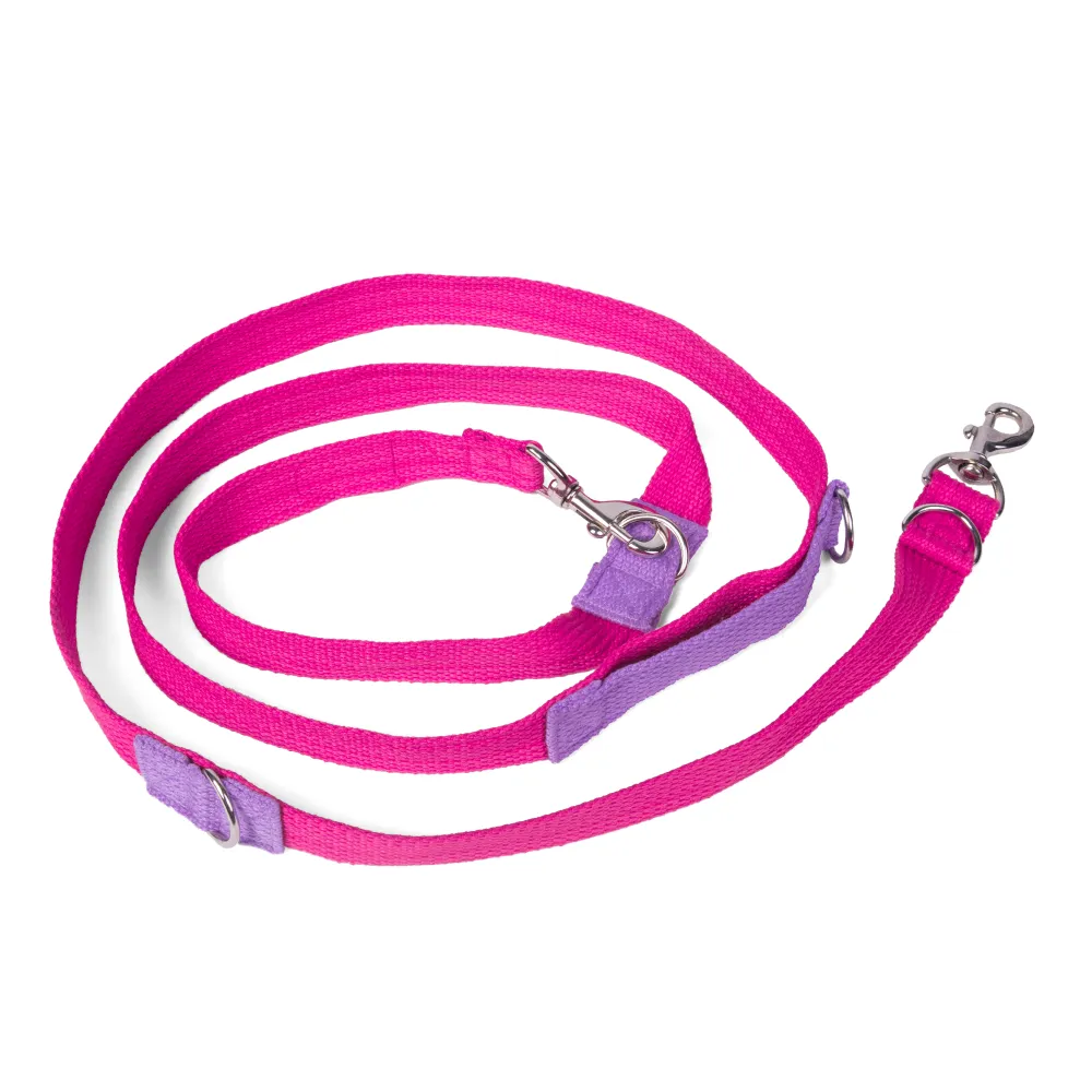 Let's Wag Multi Purpose Leash for Dogs (Pink)