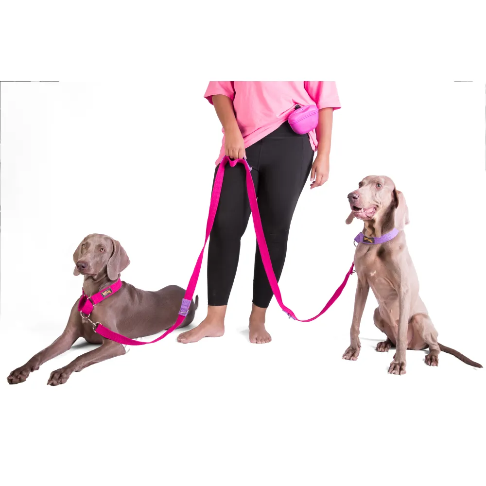 Let's Wag Multi Purpose Leash for Dogs (Pink)