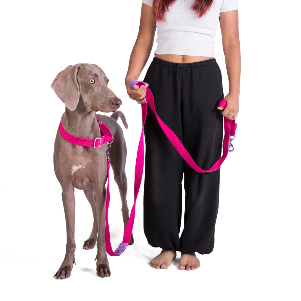 Let's Wag Multi Purpose Leash for Dogs (Pink)