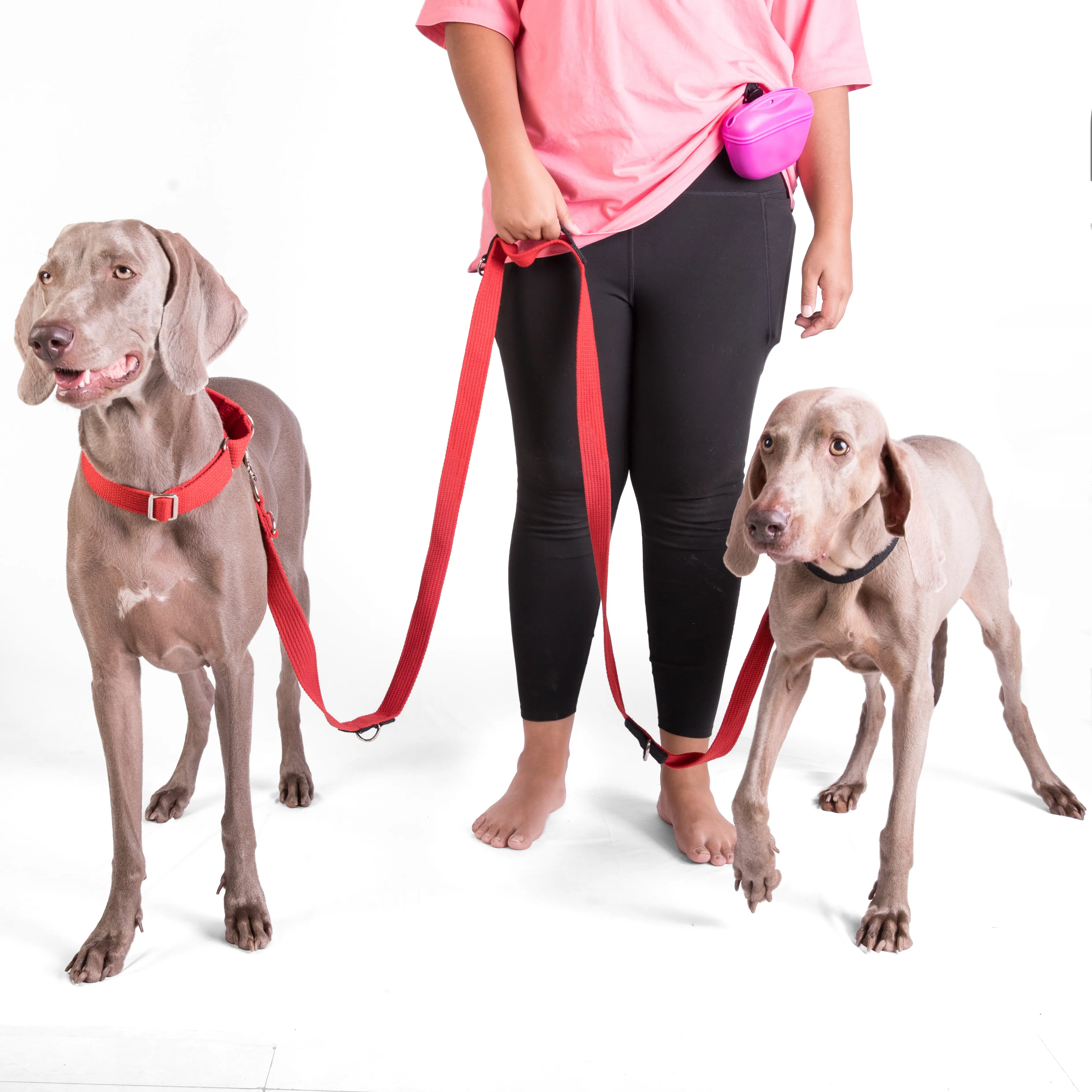 Let's Wag Multi Purpose Leash for Dogs (Red)