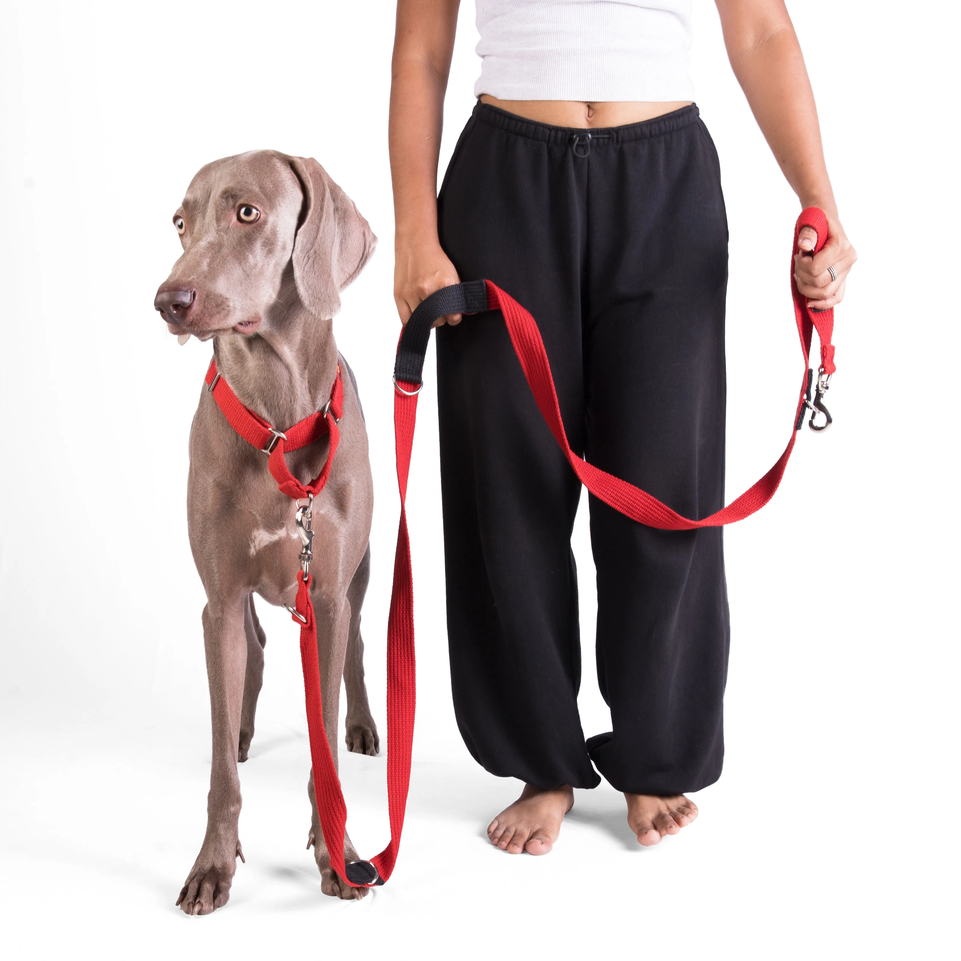 Let's Wag Multi Purpose Leash for Dogs (Red)