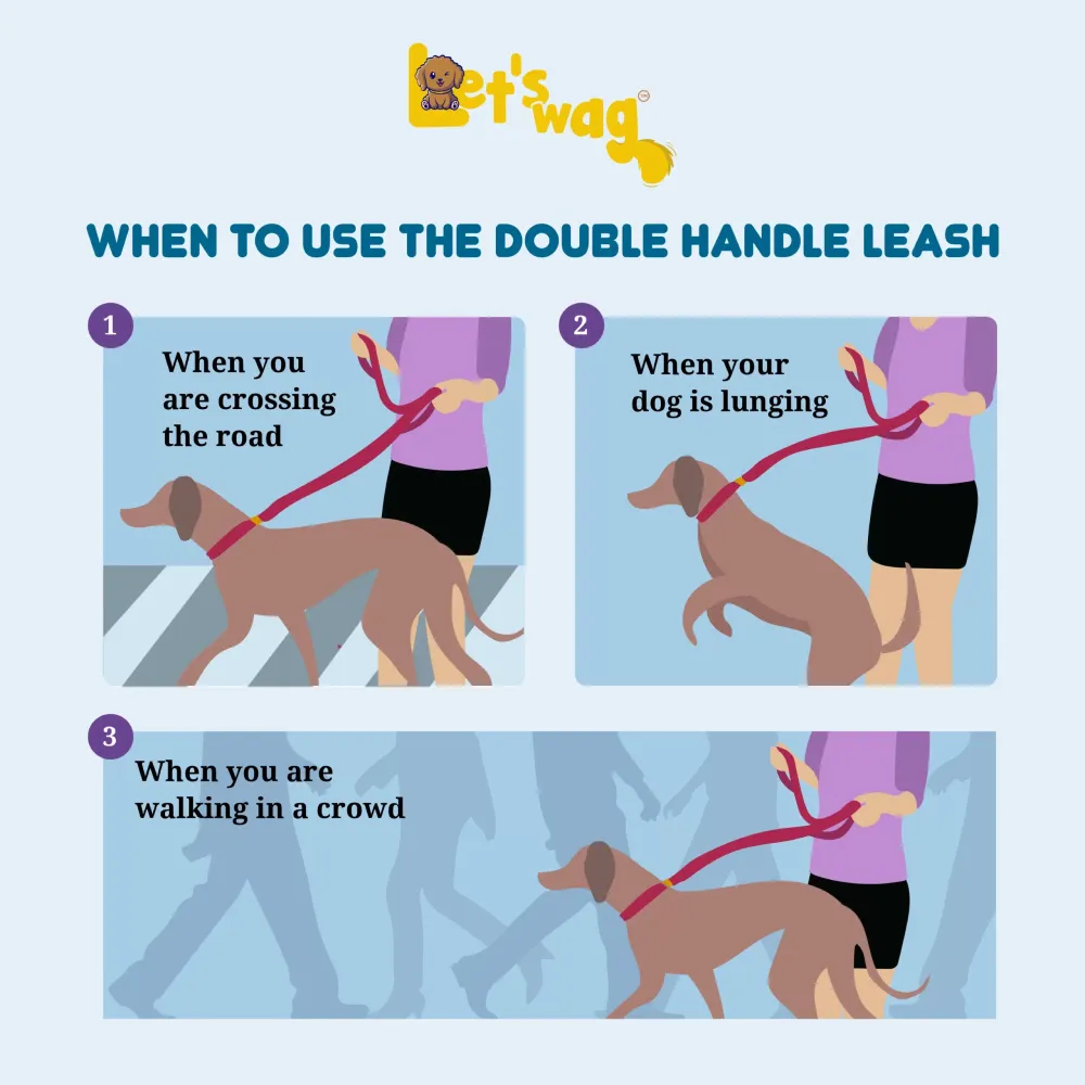 Let's Wag Multi Purpose Leash for Dogs (Red)