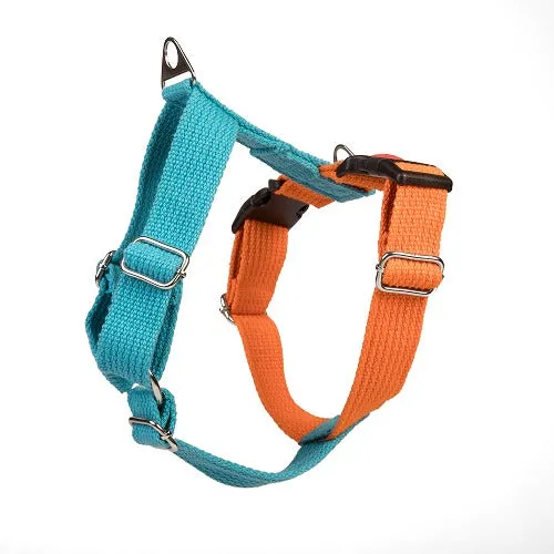 Let's Wag Training and Safety Dual Clip Designed H Harness for Dogs (Orange/Cobalt Blue)