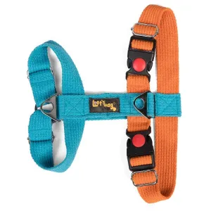 Let's Wag Training and Safety Dual Clip Designed H Harness for Dogs (Orange/Cobalt Blue)
