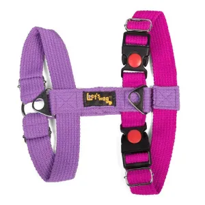 Let's Wag Training and Safety Dual Clip Designed H Harness for Dogs (Pink/Purple)