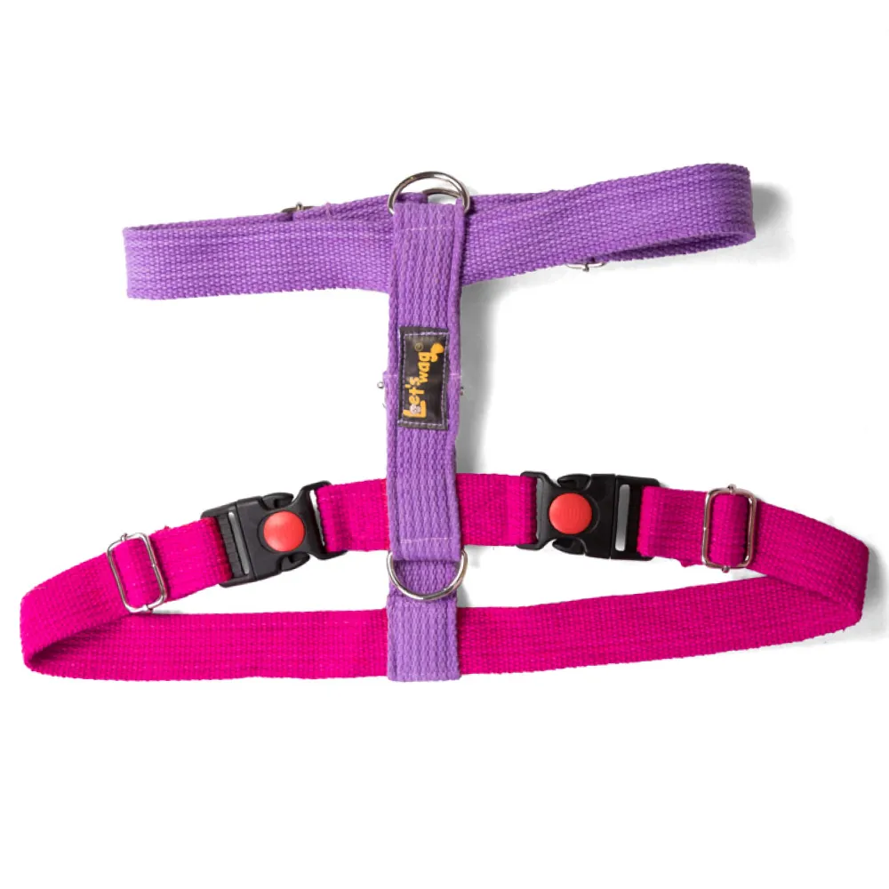 Let's Wag Training and Safety Dual Clip Designed H Harness for Dogs (Pink/Purple)