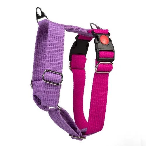 Let's Wag Training and Safety Dual Clip Designed H Harness for Dogs (Pink/Purple)