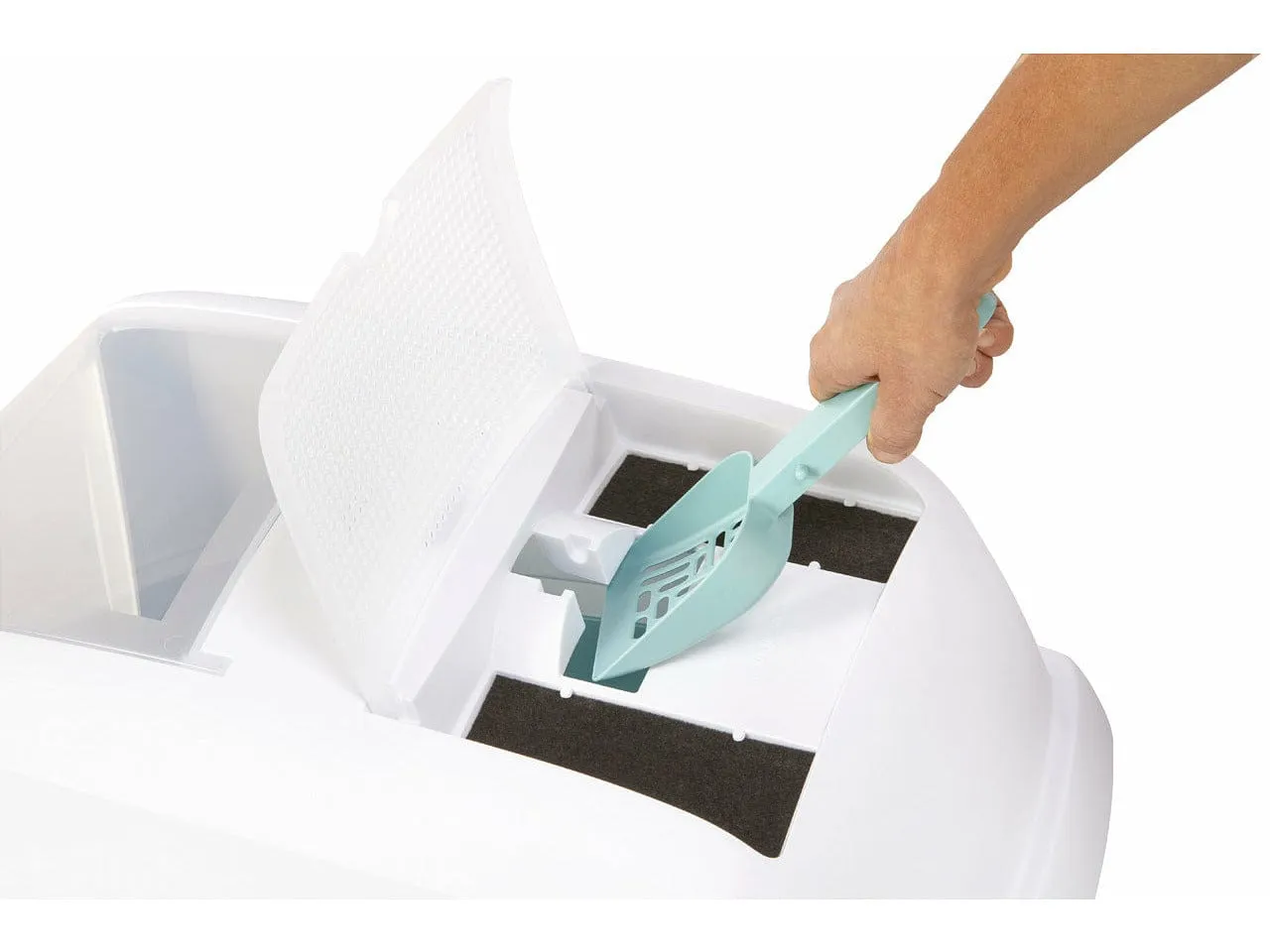 Maddy cat Litter White/Teal Pets Qatar