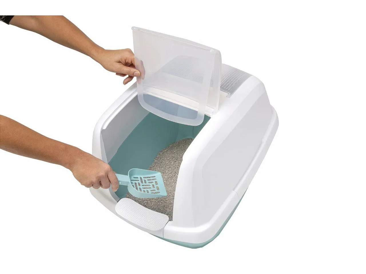 Maddy cat Litter White/Teal Pets Qatar