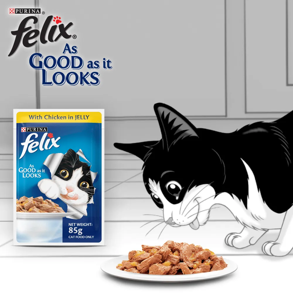 Me O Tuna & Sardine in Jelly Kitten and Purina Felix Chicken with Jelly Adult Cat Wet Food Combo (12 12)