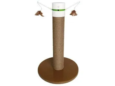 Meow Interactive Cat Toy Pets Qatar