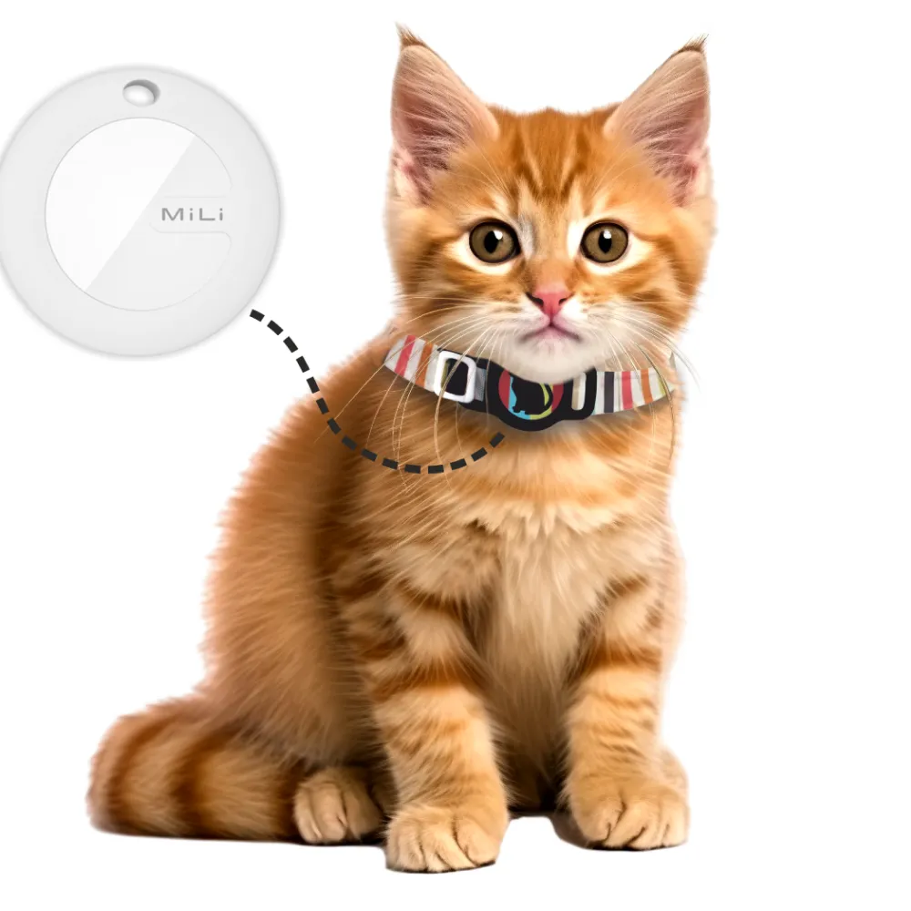 Mitag Anti Loss Device with Collar for Cats (Black) | IOS
