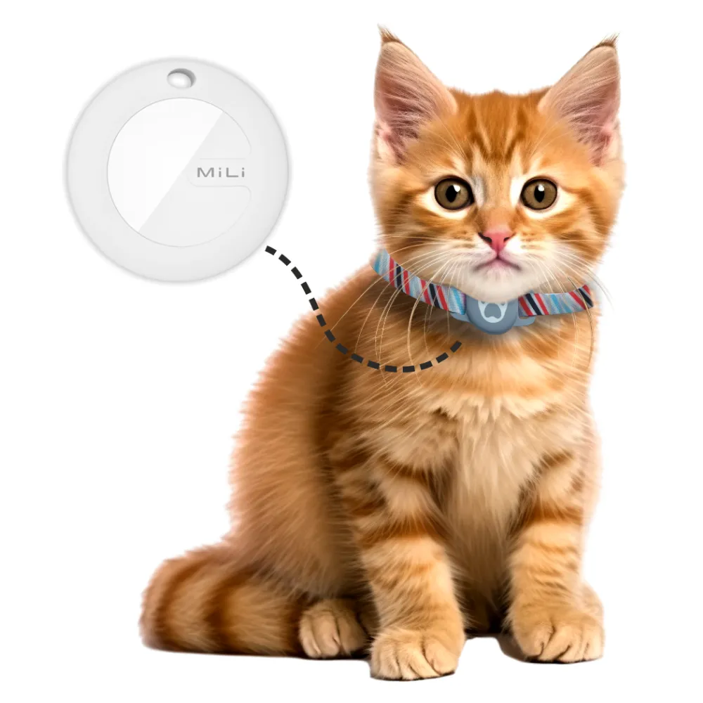 Mitag Anti Loss Device with Collar for Cats (Grey) | IOS