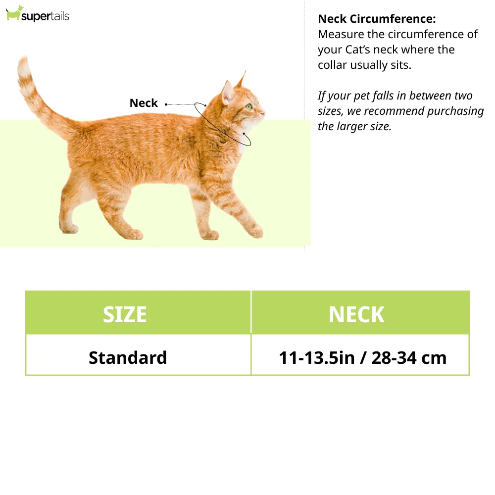 Mitag Anti Loss Device with Collar for Cats (Grey) | IOS