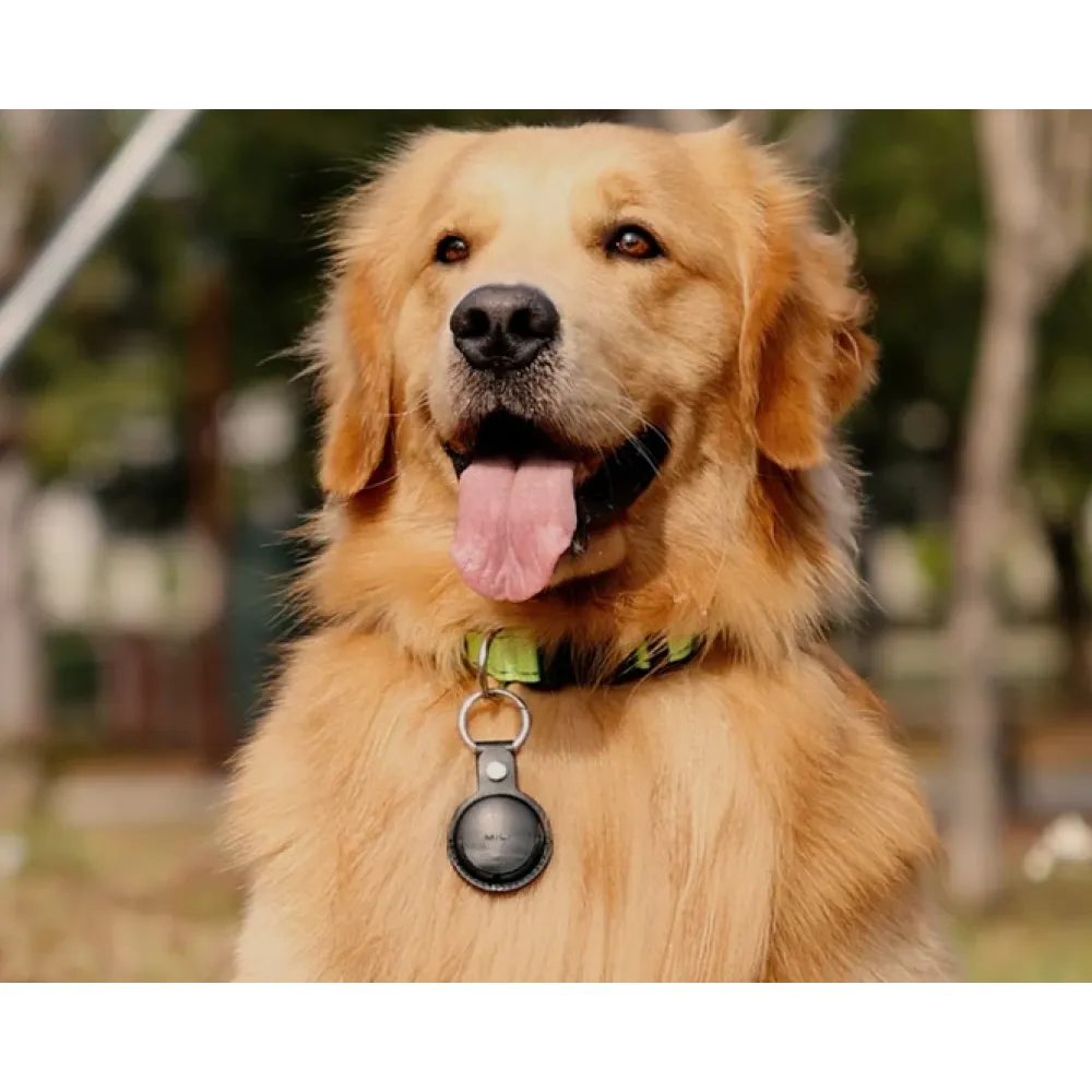 Mitag Anti Loss Device with Keychain for Dogs and Cats (Brown) | IOS