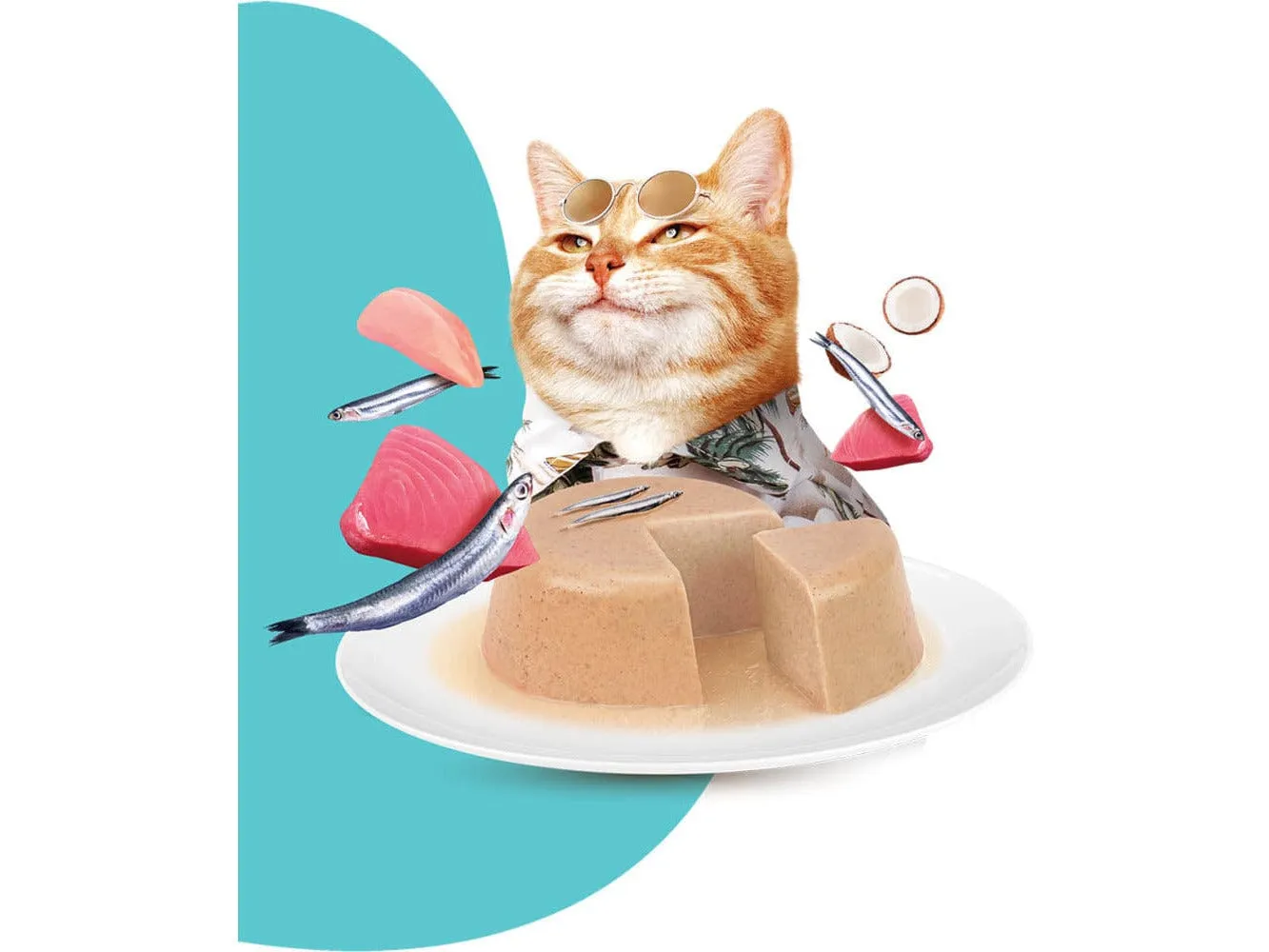 Moochie Pate With Anchovy (Digestive Care)  85G  Cup Pets Qatar