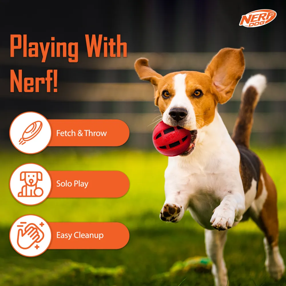 Nerf Bash Checker Squeak Crunch Ball Toy for Dogs (Red)