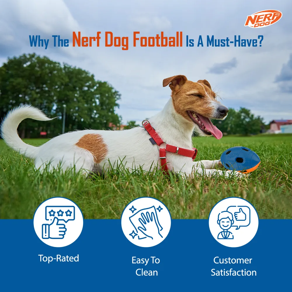 Nerf Bash Squeak and Crunch Football Toy for Dogs (Blue/Orange)