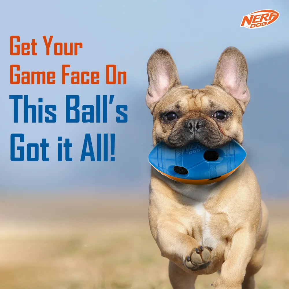 Nerf Bash Squeak and Crunch Football Toy for Dogs (Blue/Orange)