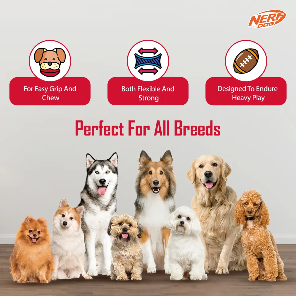 Nerf Bash Treat Football Toy for Dogs (Red)