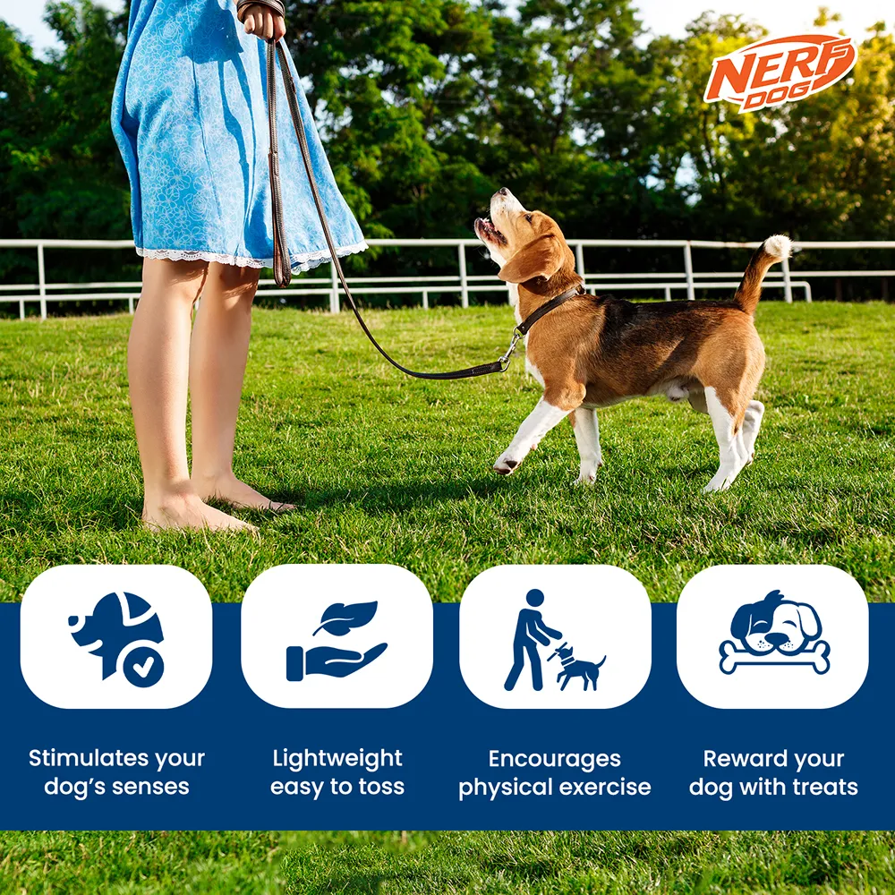 Nerf Dog Bone Tug Interactive Treat Dispenser Toy for Dogs (Green)