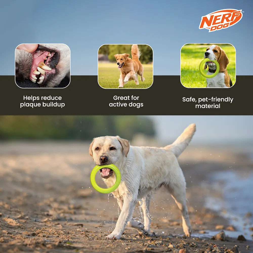 Nerf Dog Dental Tug Ring Toy for Dogs (Green)
