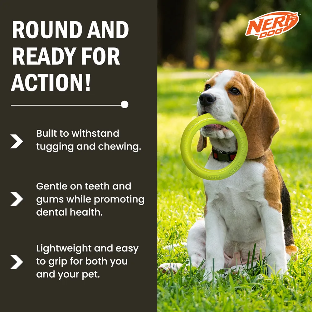 Nerf Dog Dental Tug Ring Toy for Dogs (Green)