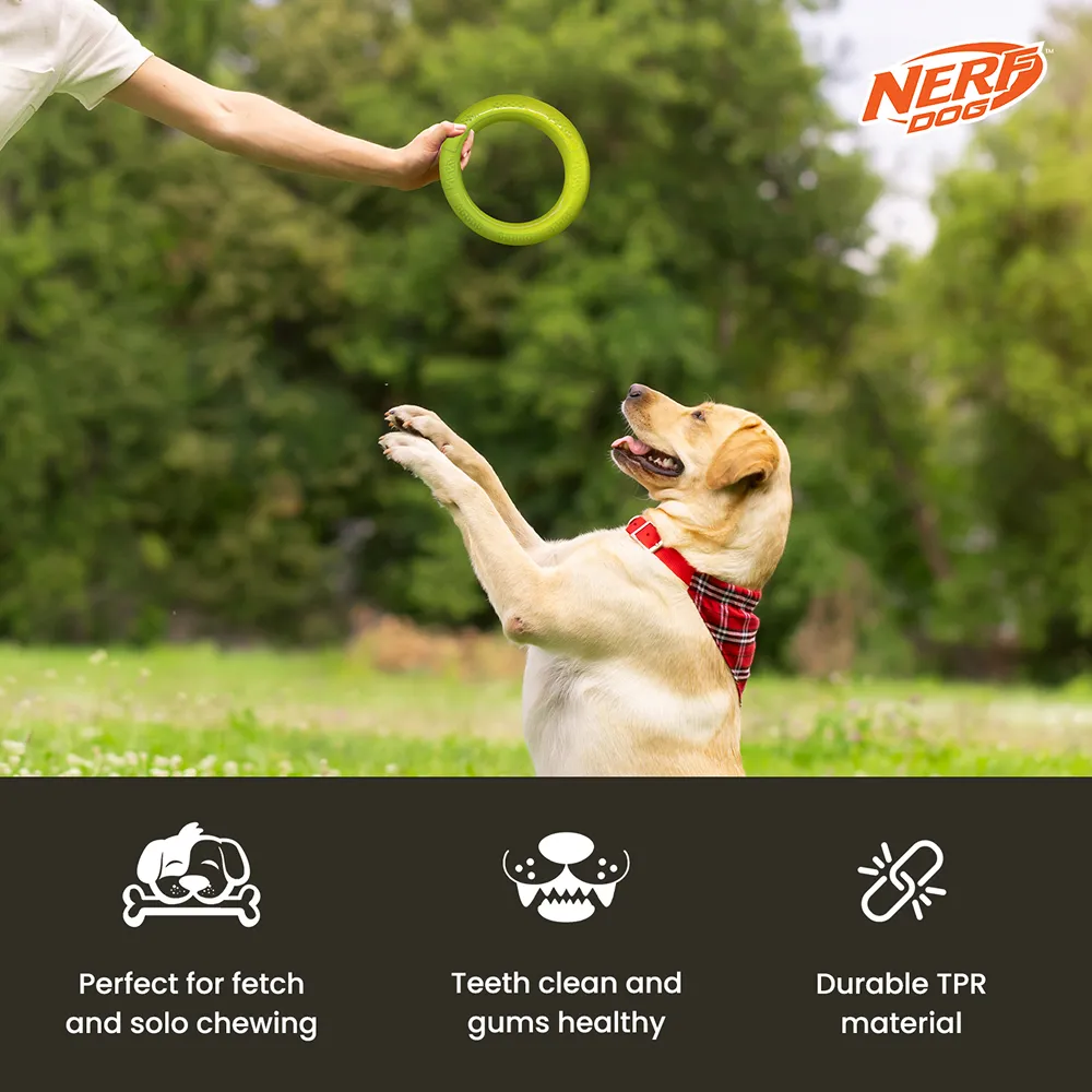 Nerf Dog Dental Tug Ring Toy for Dogs (Green)