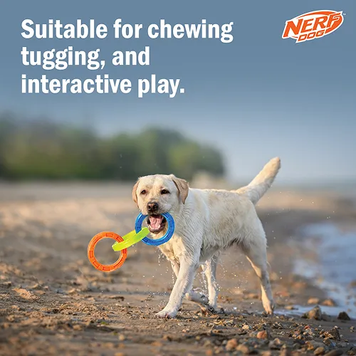 Nerf Dog EXO Translucent Spike 3 Rings Toy for Dogs (Blue/Green/Orange)