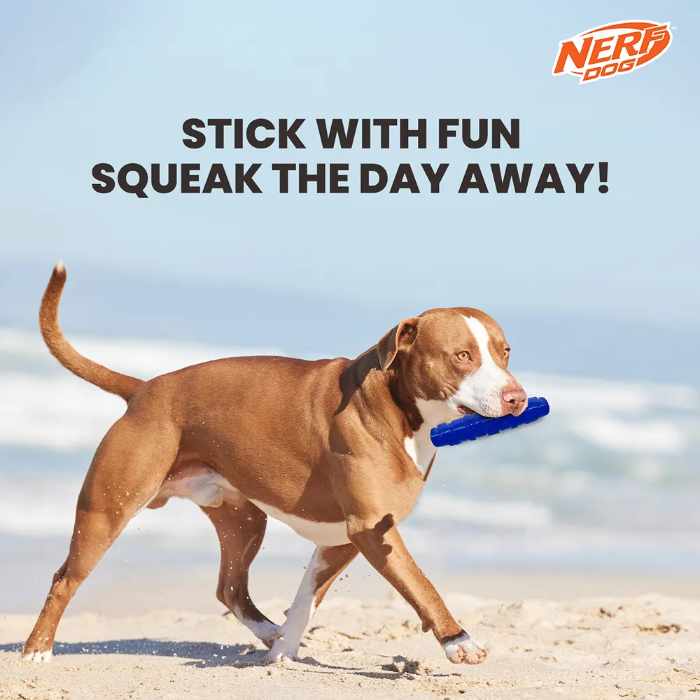 Nerf Dog Squeak Stick Toy for Dogs (Blue)