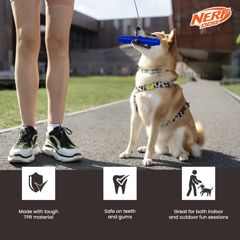 Nerf Dog Squeak Stick Toy for Dogs (Blue)