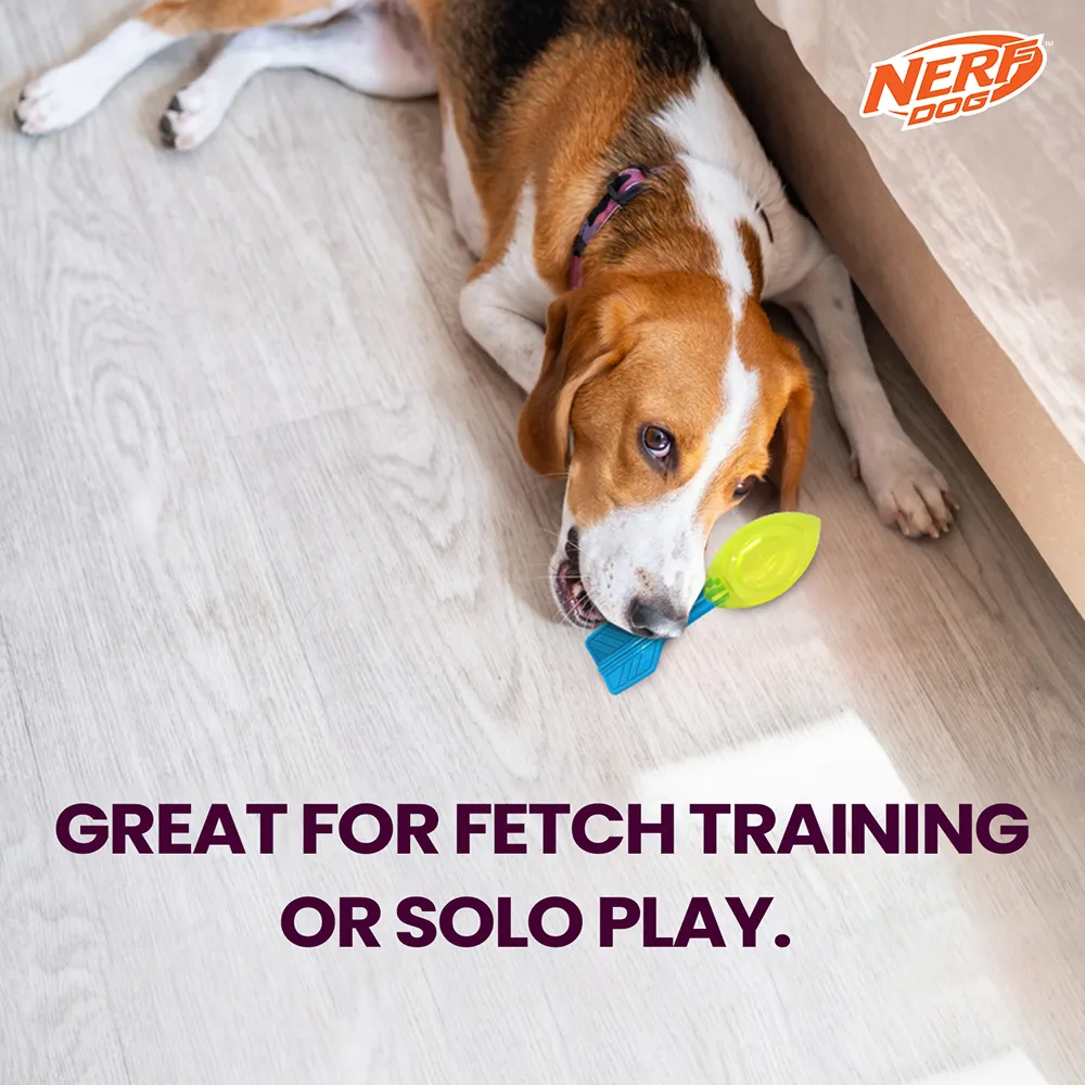 Nerf Dog Squeak Vortex Chew Toy for Dogs (Blue/Green)