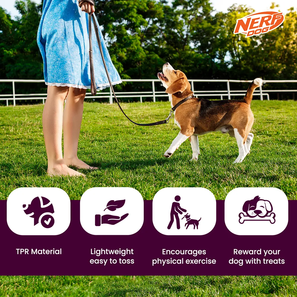 Nerf Dog Squeak Vortex Chew Toy for Dogs (Blue/Green)
