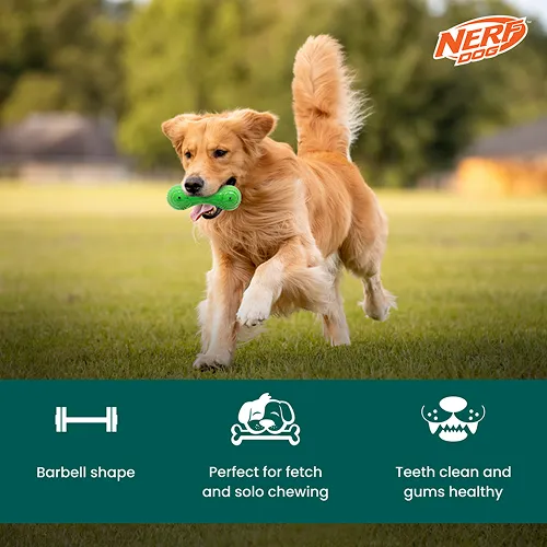 Nerf Dog Super Scent Meat Barbell Interactive Toy for Dogs (Green)