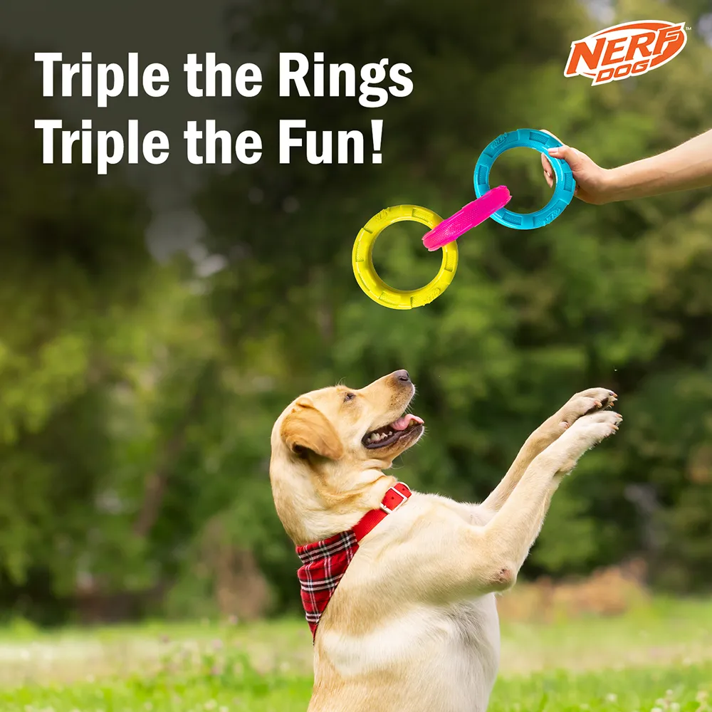 Nerf Dog Translucent Spike 3 Rings Toy for Dogs (Blue/Pink/Yellow)
