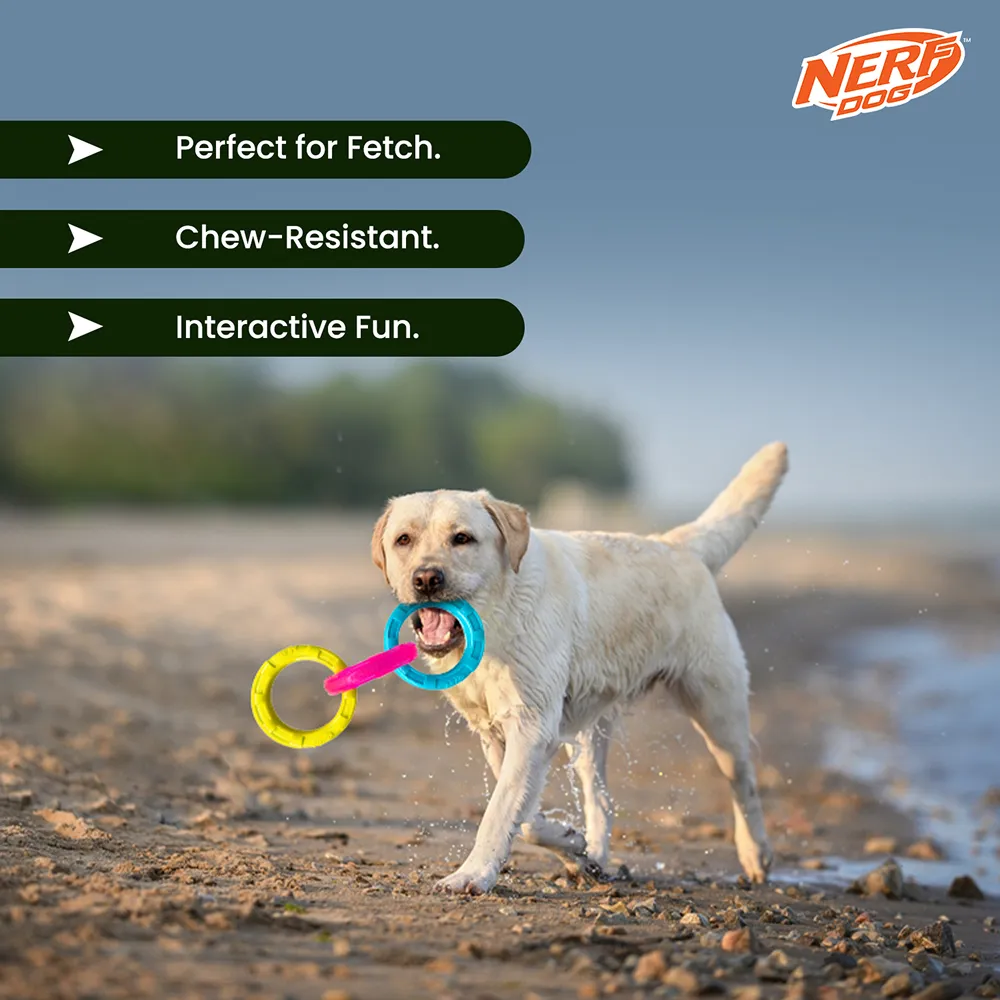 Nerf Dog Translucent Spike 3 Rings Toy for Dogs (Blue/Pink/Yellow)