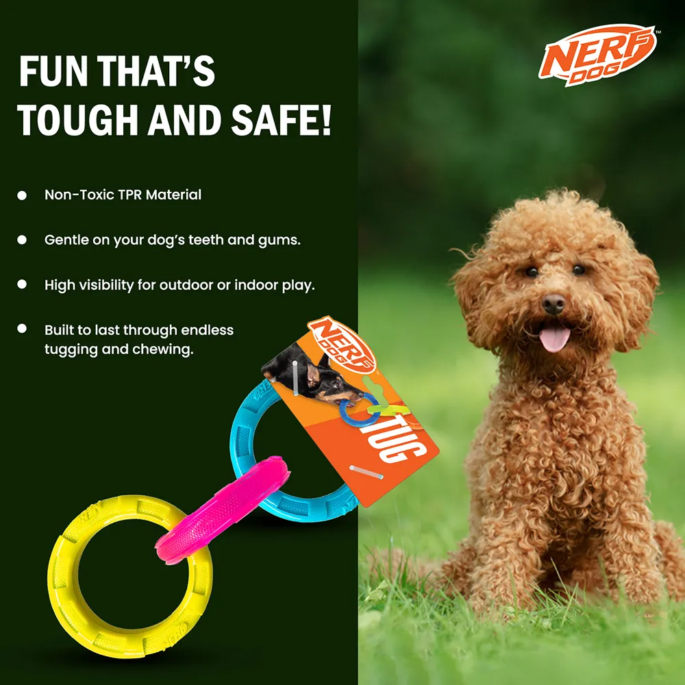 Nerf Dog Translucent Spike 3 Rings Toy for Dogs (Blue/Pink/Yellow)