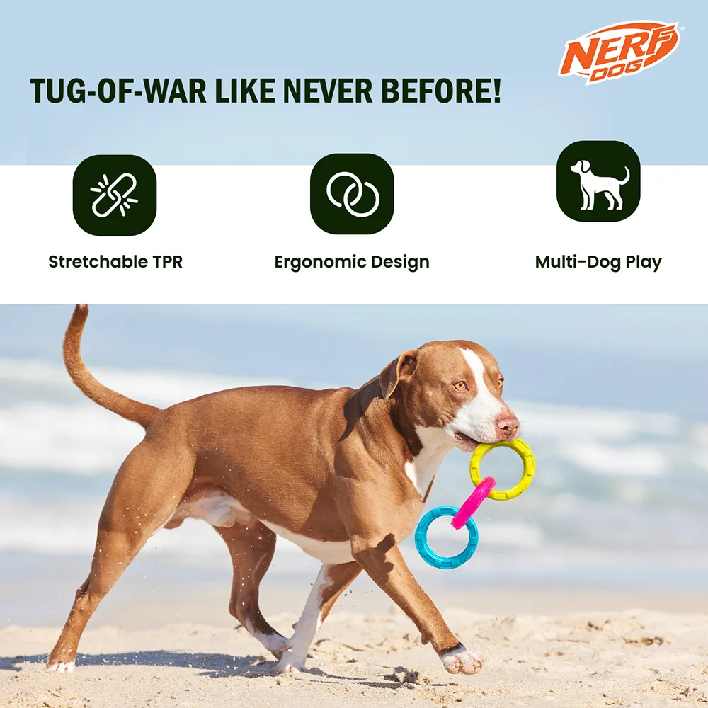 Nerf Dog Translucent Spike 3 Rings Toy for Dogs (Blue/Pink/Yellow)