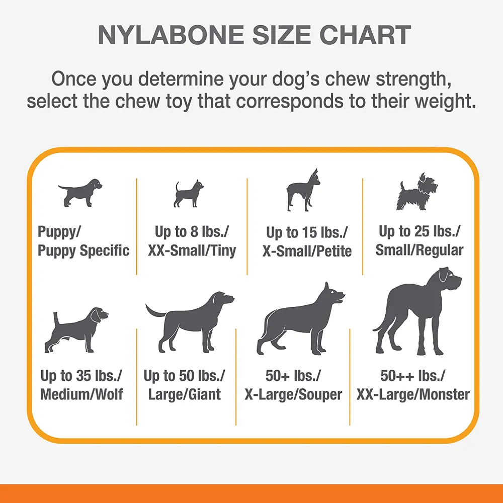 Nylabone Puppy Teething Chicken Flavoured Chew and Ring Bone Toy for Dogs (Brown)