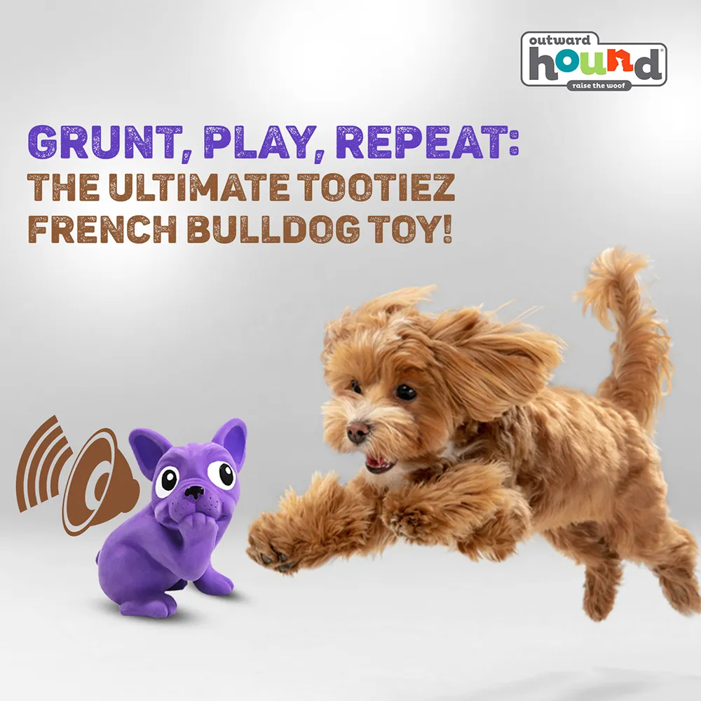 Outward Hound Tootiez Grunting French Bulldog Interactive Chew Toy for Dogs (Purple)