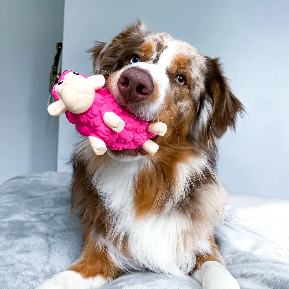 Outward Hound Tootiez Sheep Latex Rubber Toy for Dogs (Pink)
