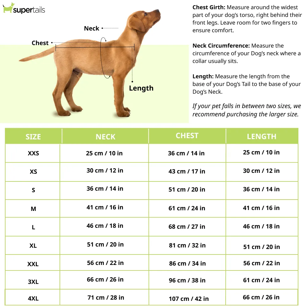 Pawgy Pets Bangalore Royal Chewers ipl Jersey for Dogs and Cats