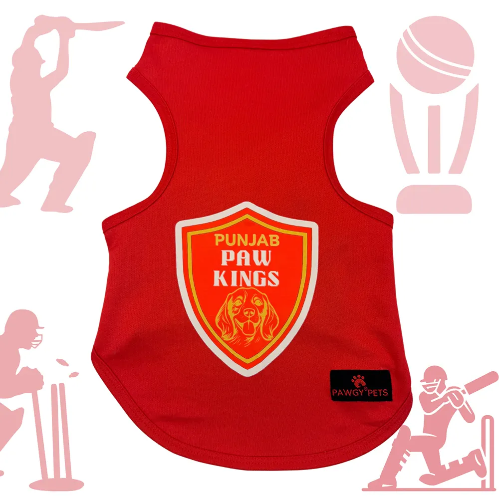Pawgy Pets Punjab Paw Kings ipl Jersey for Dogs and Cats