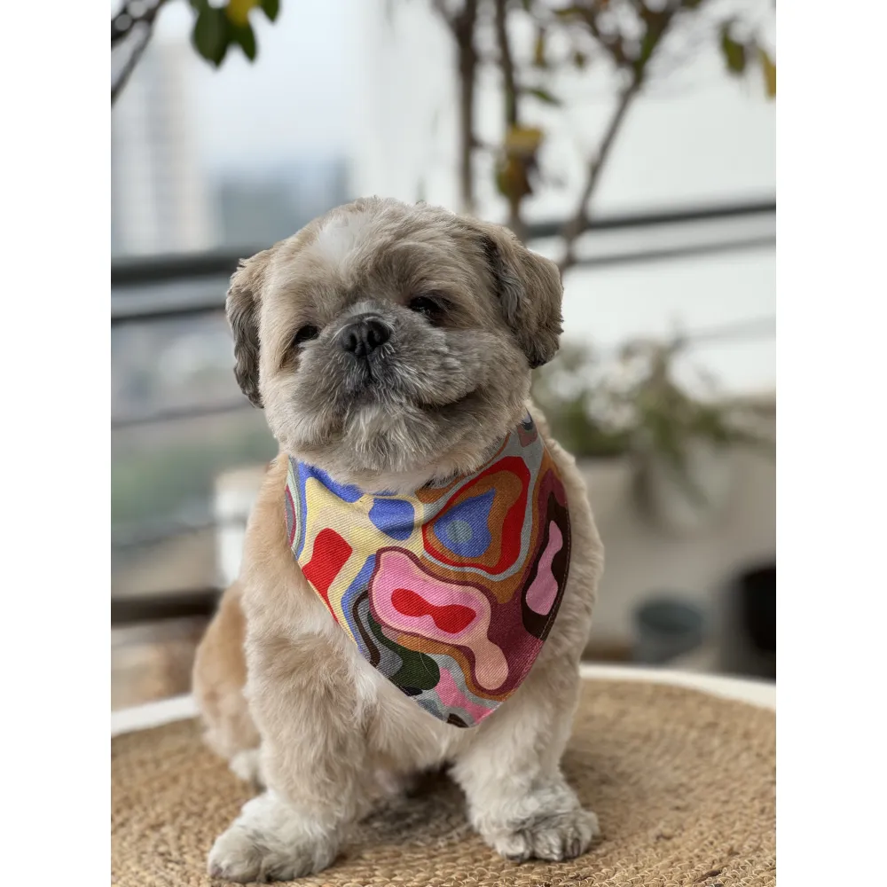 Pawgypets Bandana for Dogs and Cats (Multi Color)