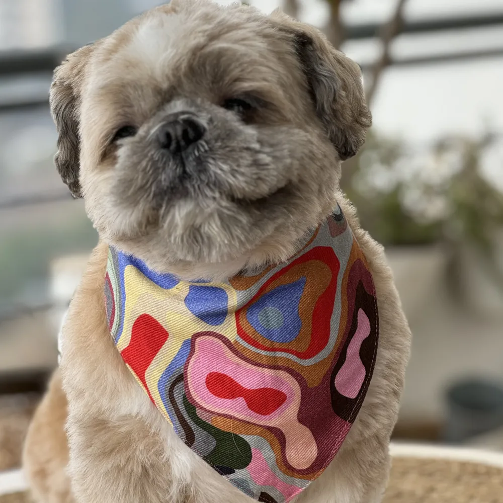 Pawgypets Bandana for Dogs and Cats (Multi Color)
