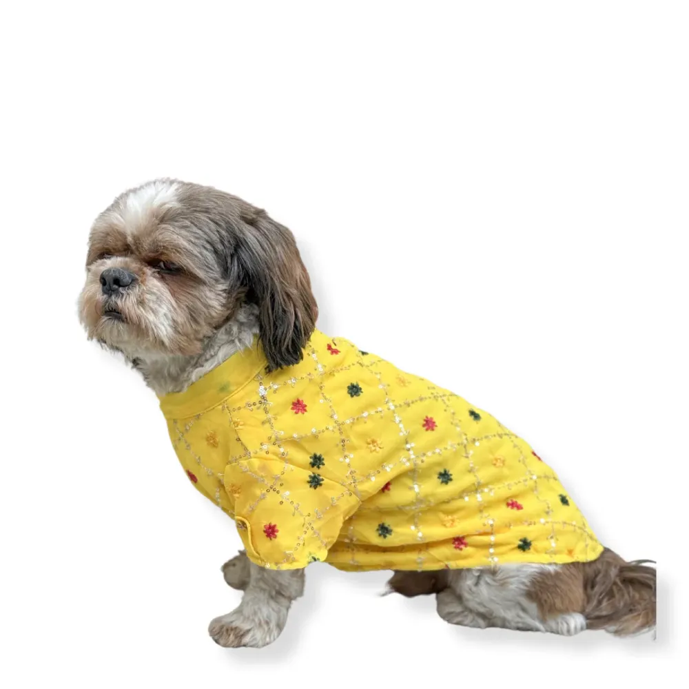 Pawgypets Festive Shirt for Dogs (Yellow)