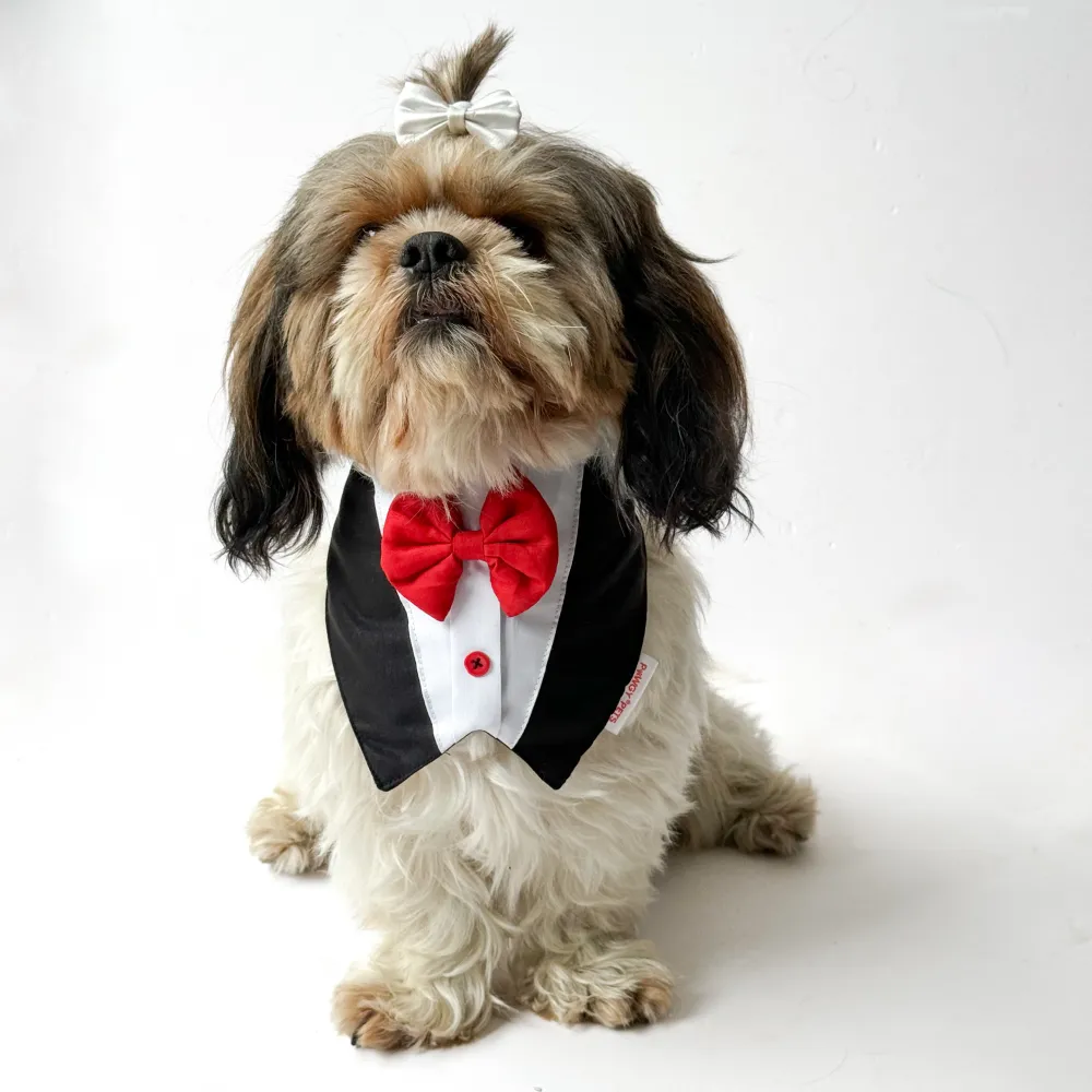 Pawgypets Formal Tux Bandana for Dogs and Cats (Black)