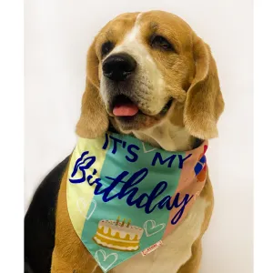 Pawgypets Its My Birthday Bandana for Dogs and Cats