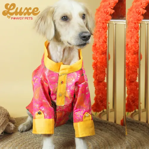 Pawgypets Luxe Barcade Kurta for Dogs and Cats (Pink)